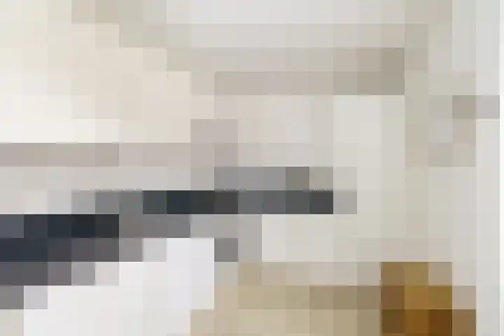 Brasserskade 179 Delft thumbnail 12