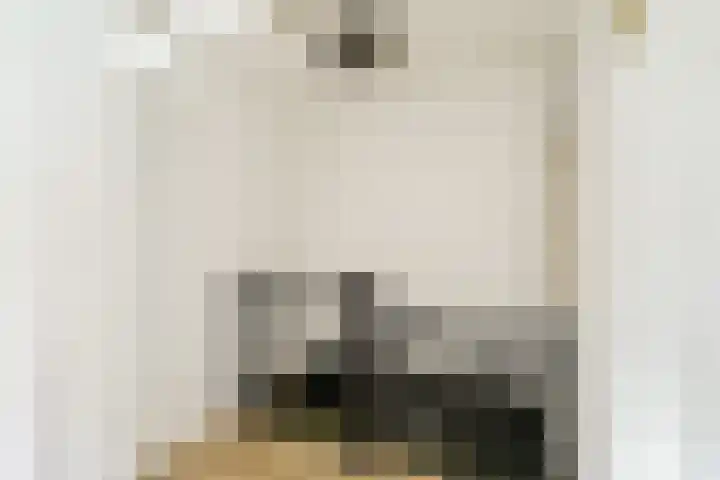 Brasserskade 179 Delft thumbnail 14