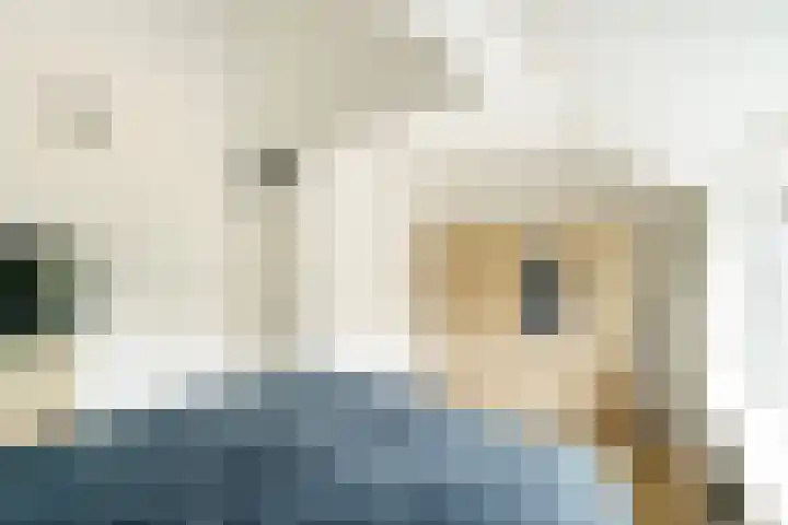 Brasserskade 179 Delft thumbnail 17
