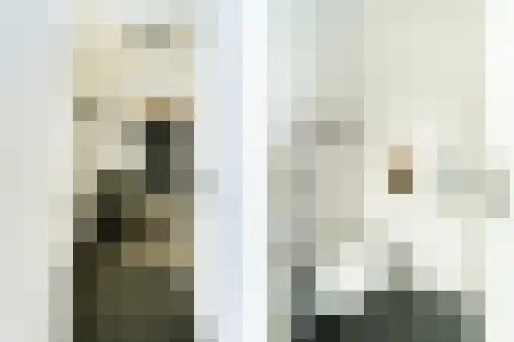Brasserskade 179 Delft thumbnail 6