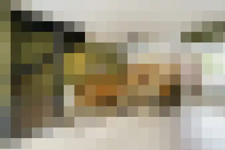 Brasserskade 179 Delft thumbnail 8