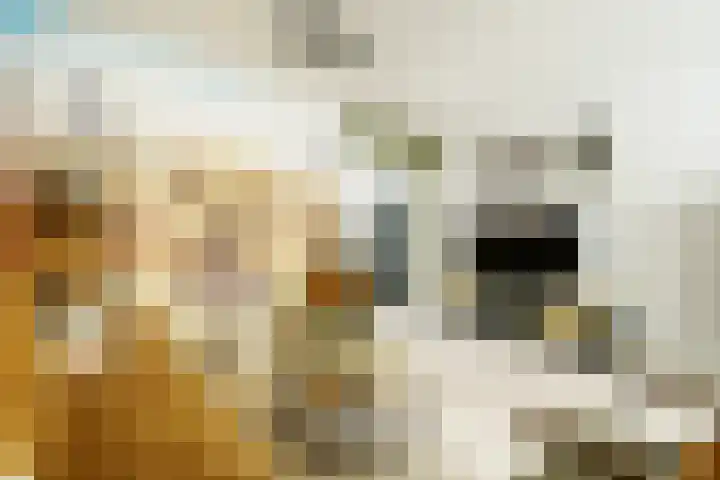 Brasserskade 179 Delft thumbnail 9