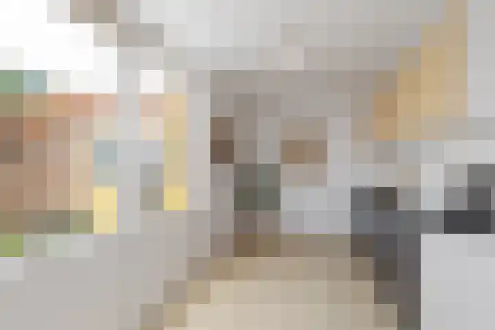 Brasserskade 199 Delft thumbnail 4