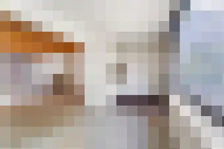 Brasserskade 213 Delft thumbnail 11