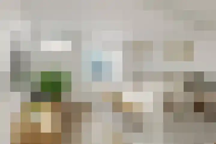 Brasserskade 213 Delft thumbnail 15