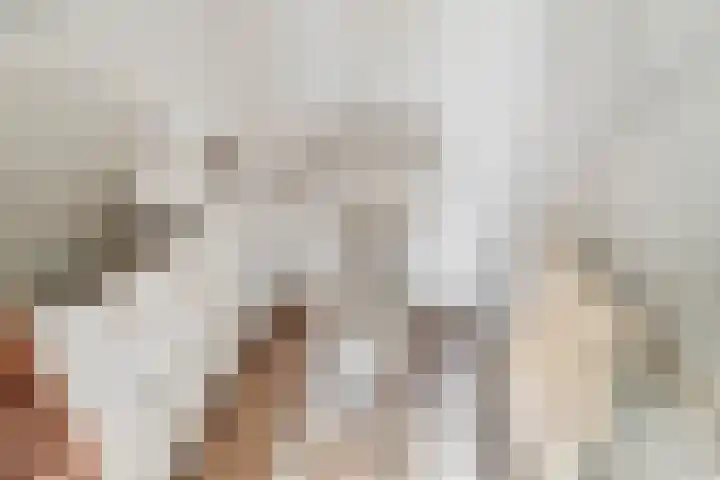 Brasserskade 213 Delft thumbnail 19