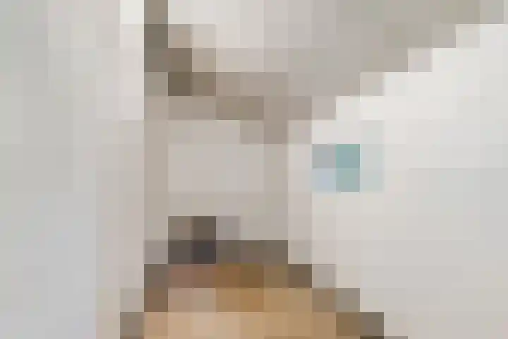 Brasserskade 213 Delft thumbnail 21