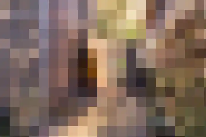 Brasserskade 213 Delft thumbnail 23