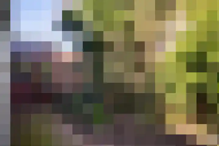 Brasserskade 213 Delft thumbnail 25