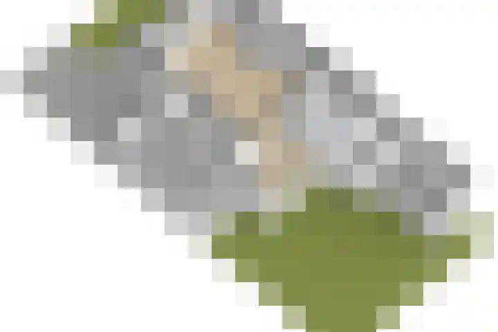 Brasserskade 213 Delft thumbnail 30
