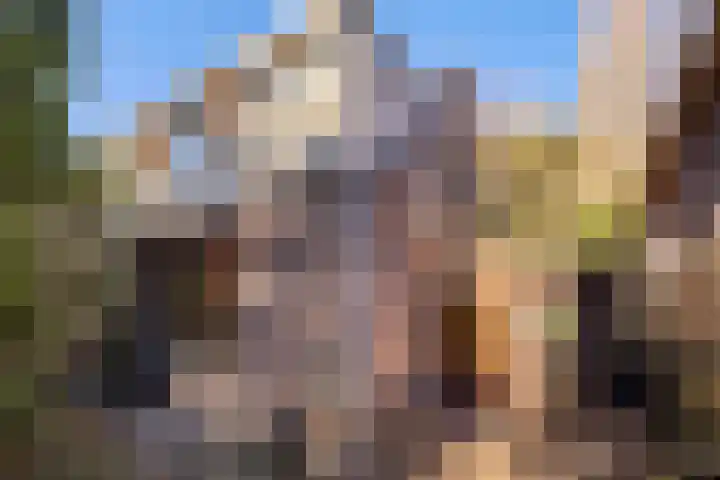Brasserskade 213 Delft thumbnail 34