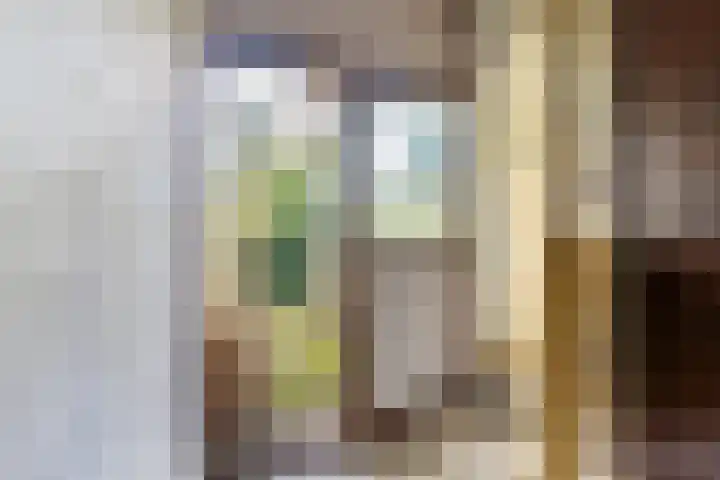 Brasserskade 213 Delft thumbnail 7