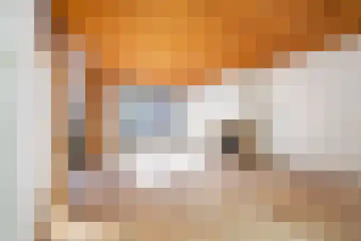 Brasserskade 213 Delft thumbnail 8