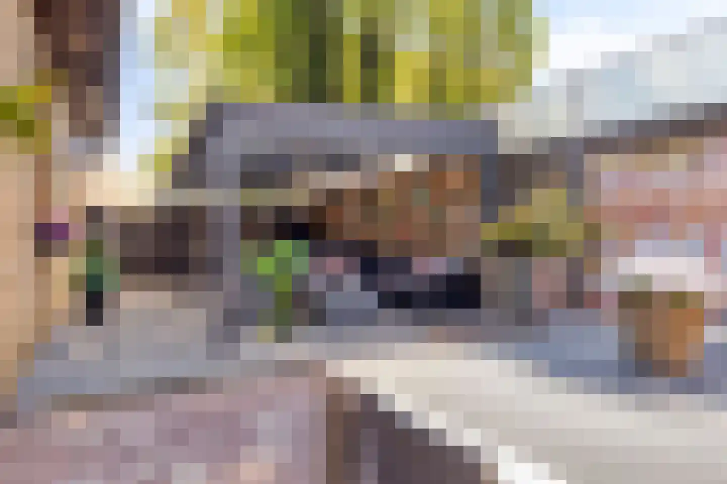 Brasserskade 225 A Den Haag thumbnail 33