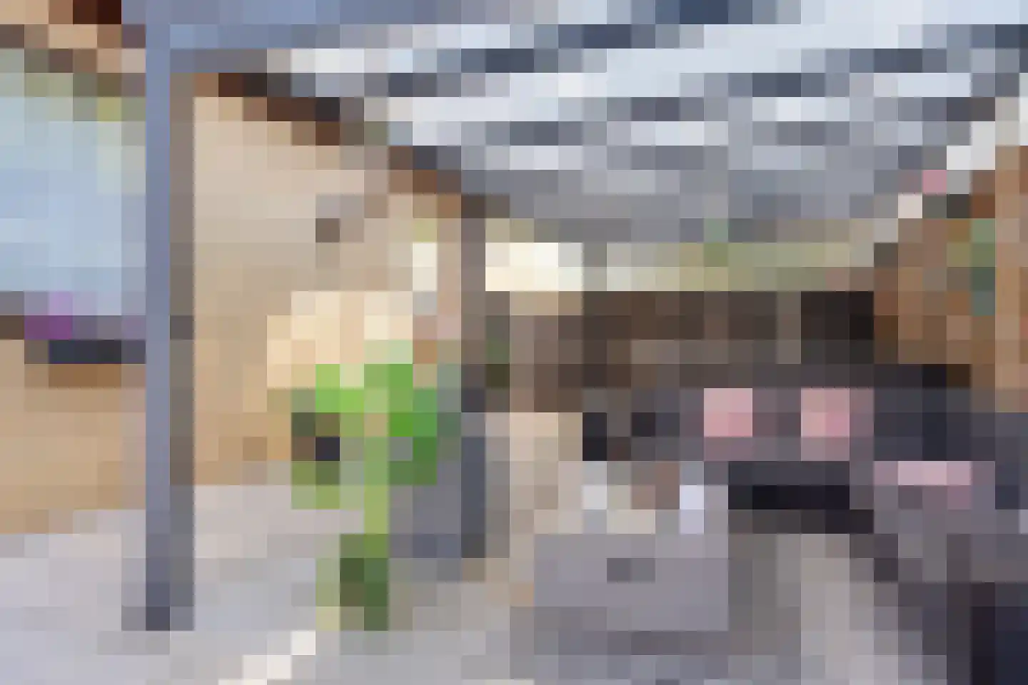 Brasserskade 225 A Den Haag thumbnail 34