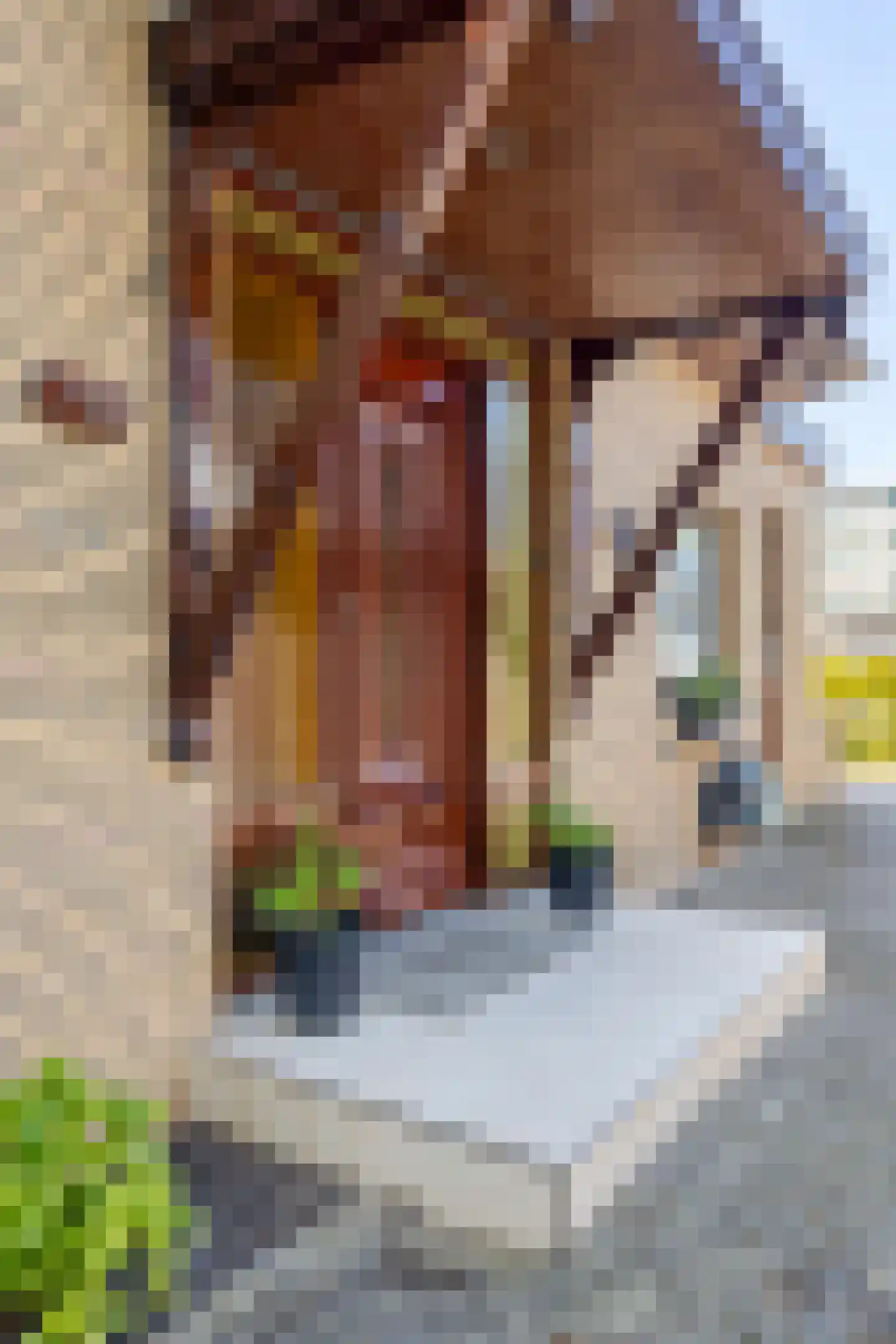 Brasserskade 225 A Den Haag thumbnail 5