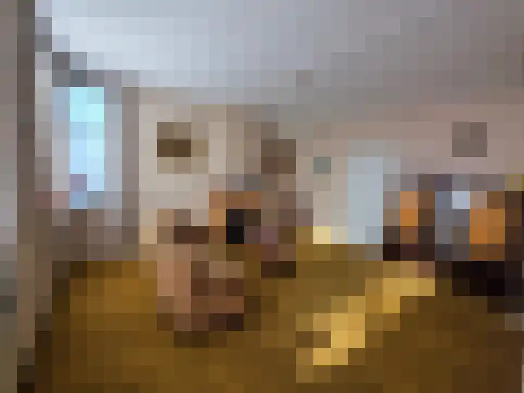 Brasserskade 243 Den Haag thumbnail 13