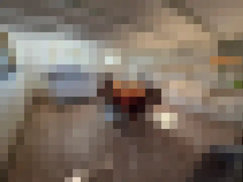 Brasserskade 243 Den Haag thumbnail 16