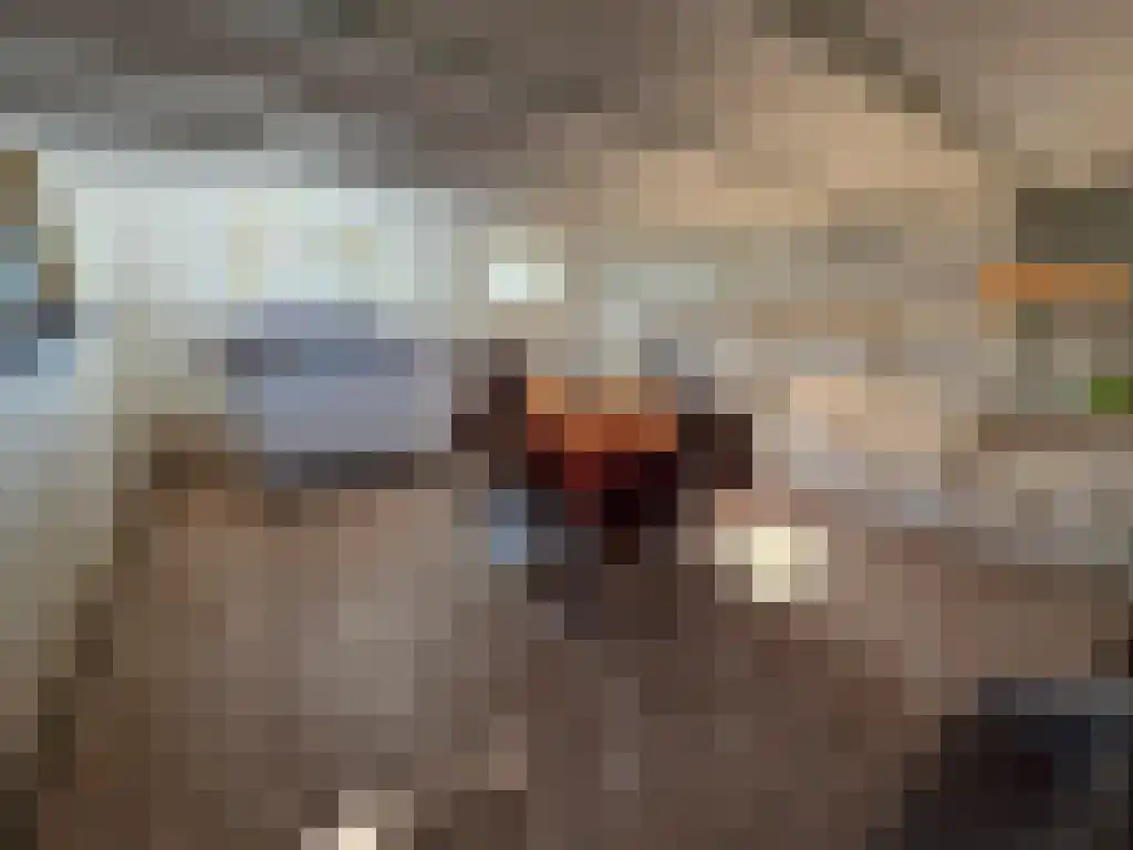 Brasserskade 243 Den Haag thumbnail 16