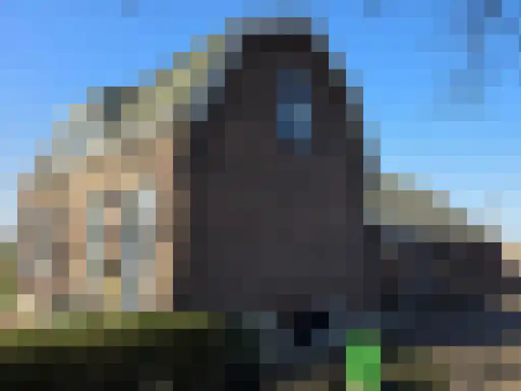 Brasserskade 243 Den Haag thumbnail 4