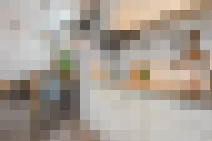 Brasserskade 28 Delft thumbnail 13