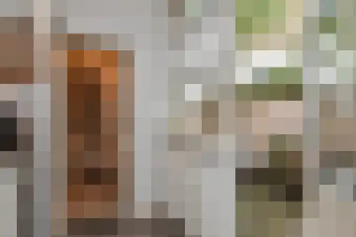 Brasserskade 28 Delft thumbnail 19