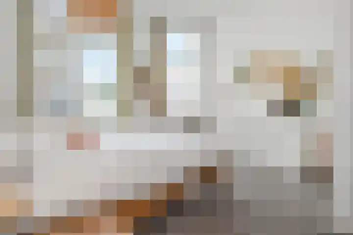 Brasserskade 28 Delft thumbnail 4