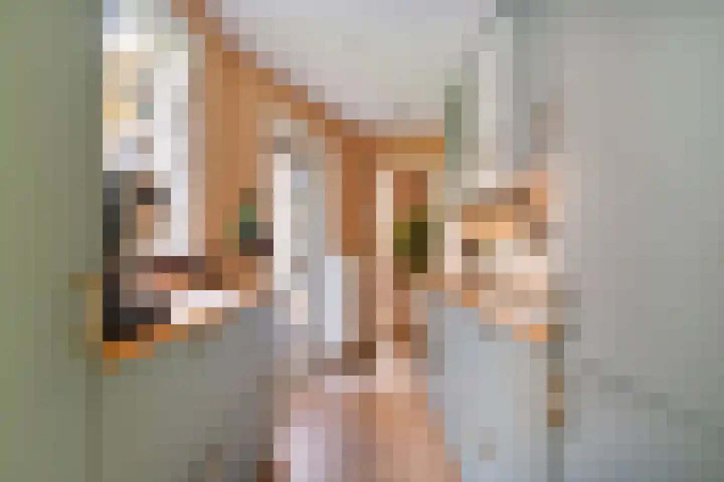Brasserskade 69 Delft thumbnail 11