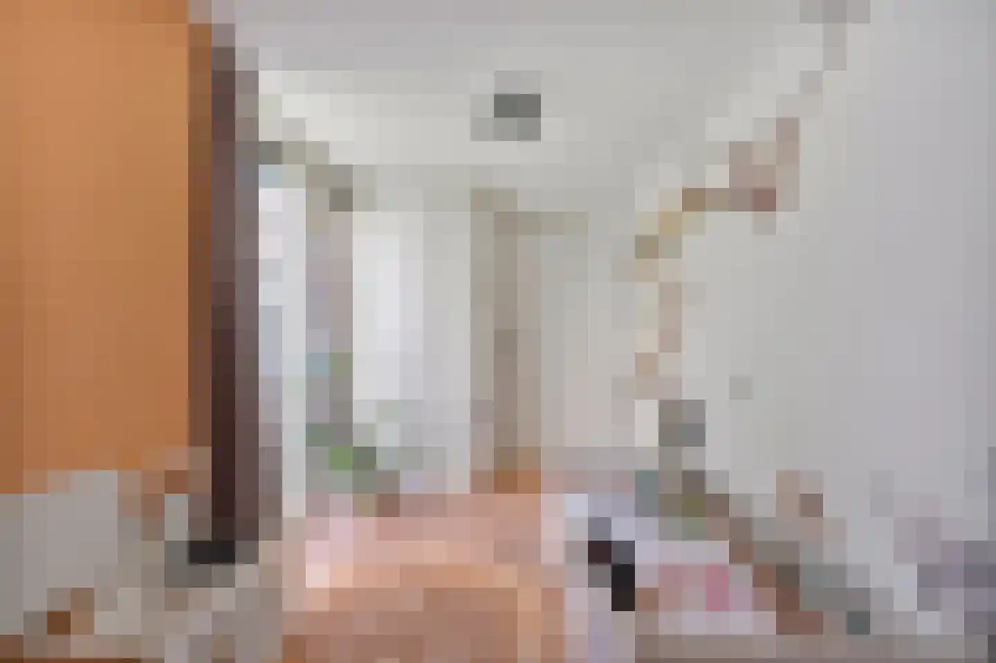 Brasserskade 69 Delft thumbnail 14