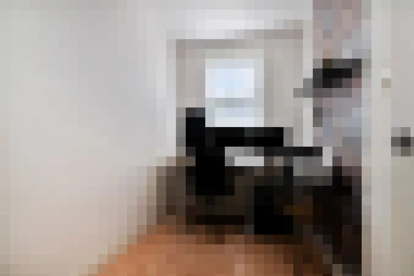Brasserskade 69 Delft thumbnail 15