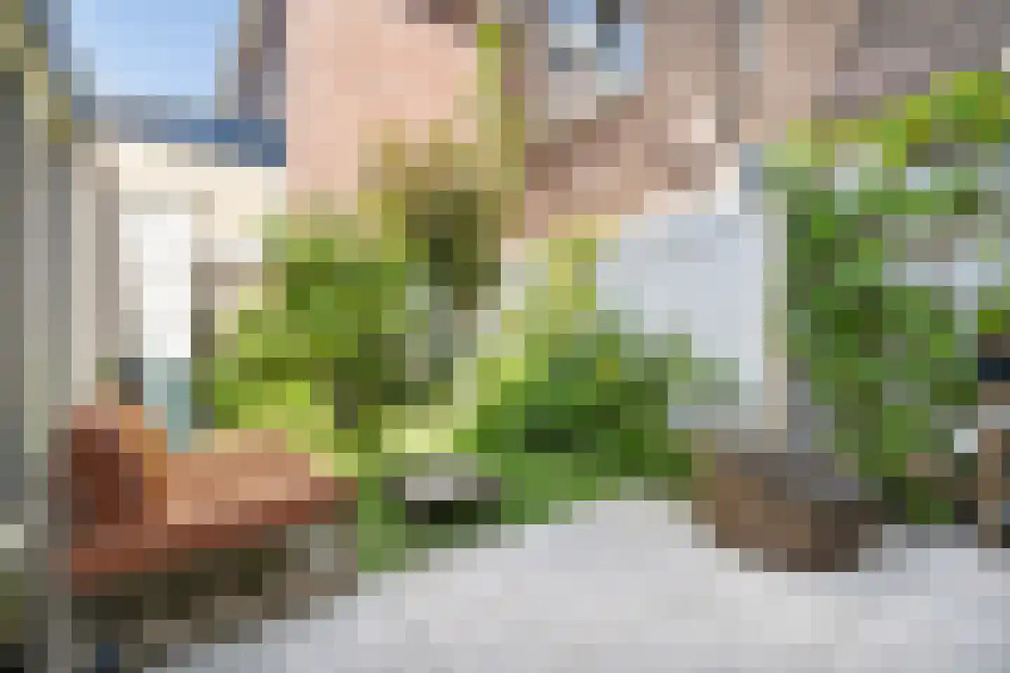 Brasserskade 69 Delft thumbnail 20