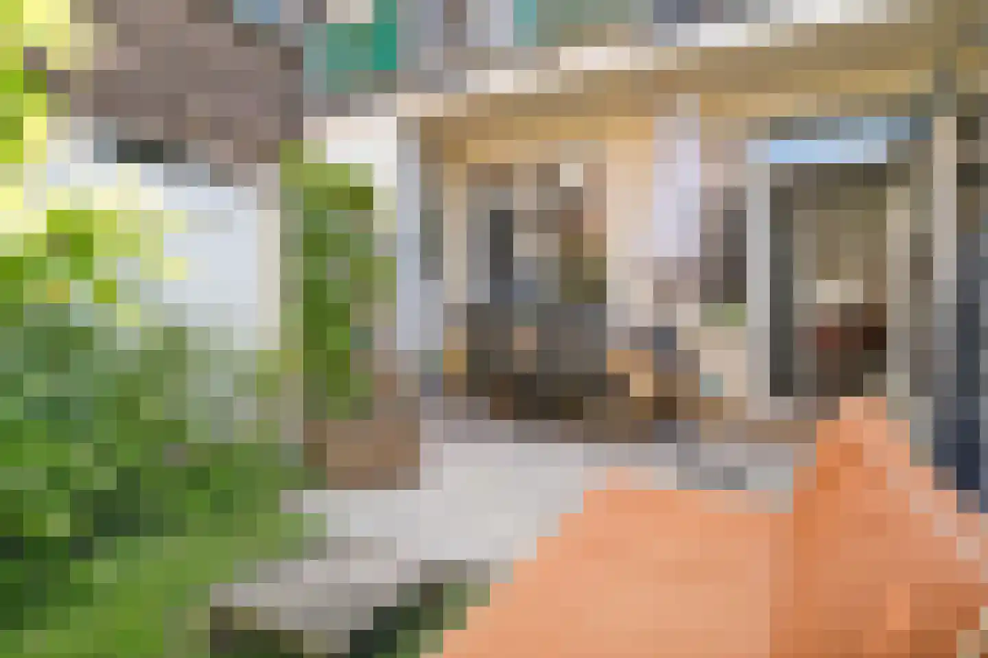 Brasserskade 69 Delft thumbnail 21