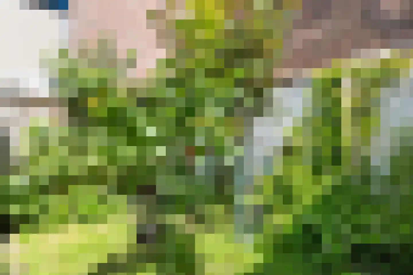 Brasserskade 69 Delft thumbnail 22
