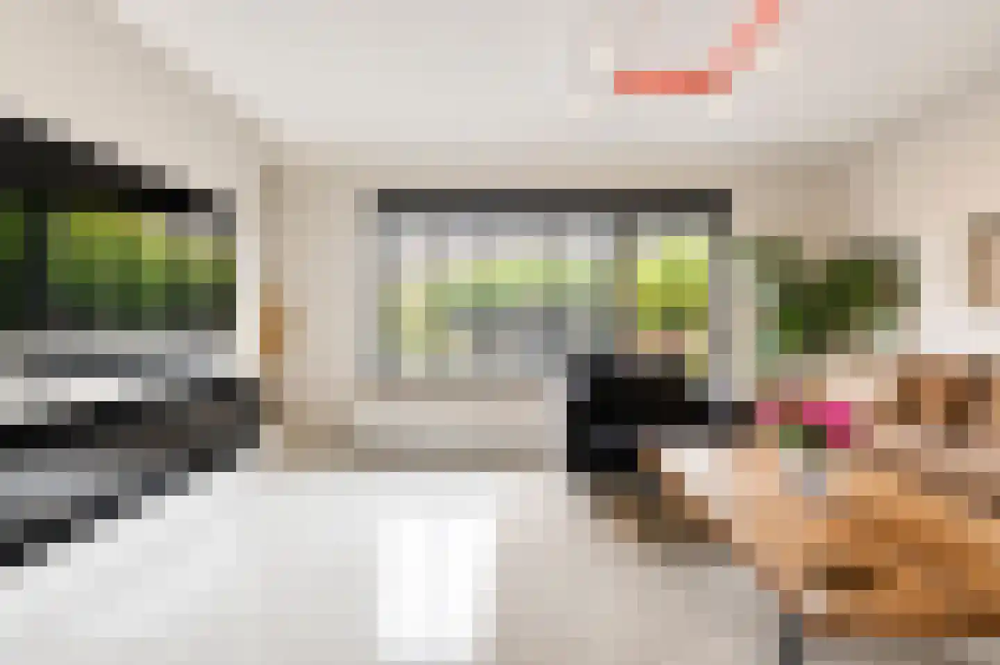 Bratislavahof 18 Den Haag thumbnail 7
