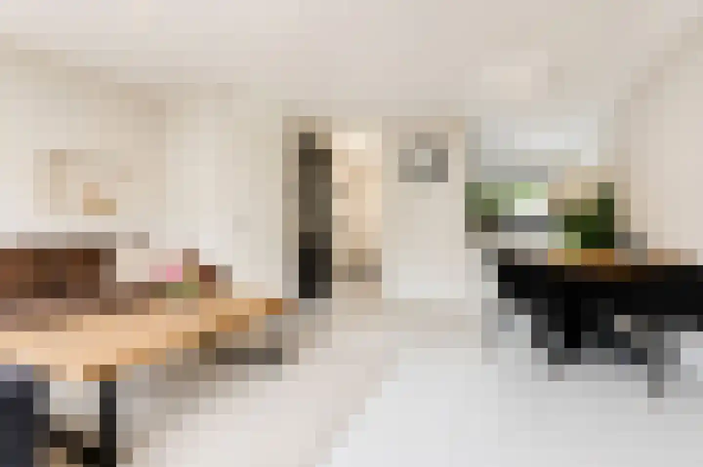 Bratislavahof 18 Den Haag thumbnail 8