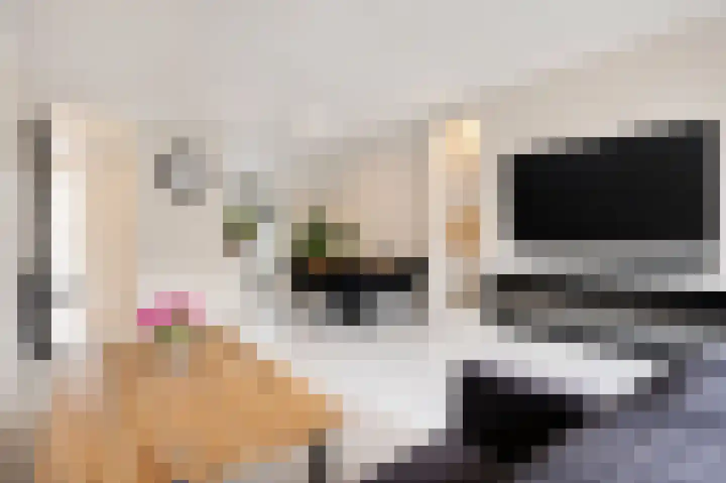Bratislavahof 18 Den Haag thumbnail 9