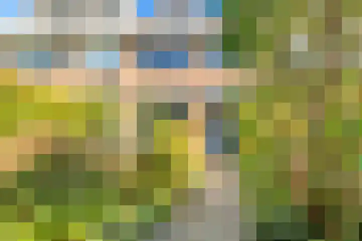 Braveld 18 Castricum thumbnail 35