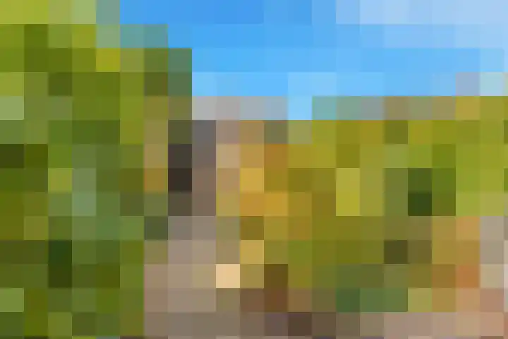Braveld 18 Castricum thumbnail 38