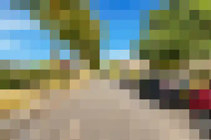Braveld 18 Castricum thumbnail 42