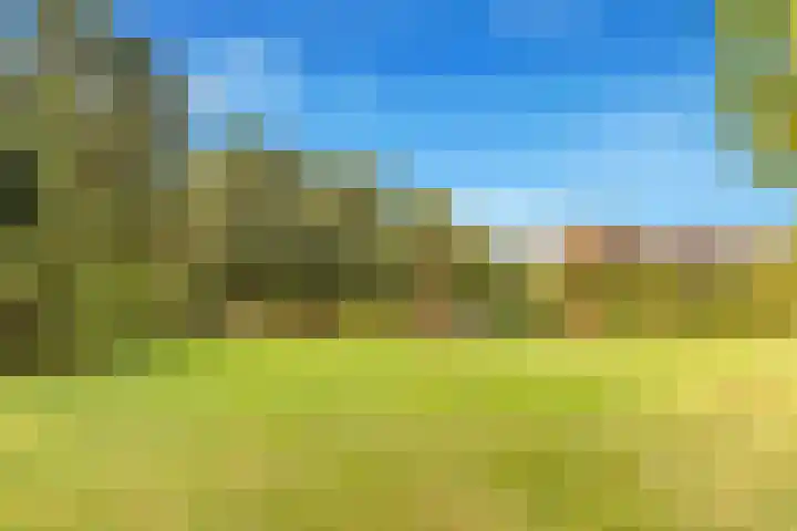 Braveld 18 Castricum thumbnail 43
