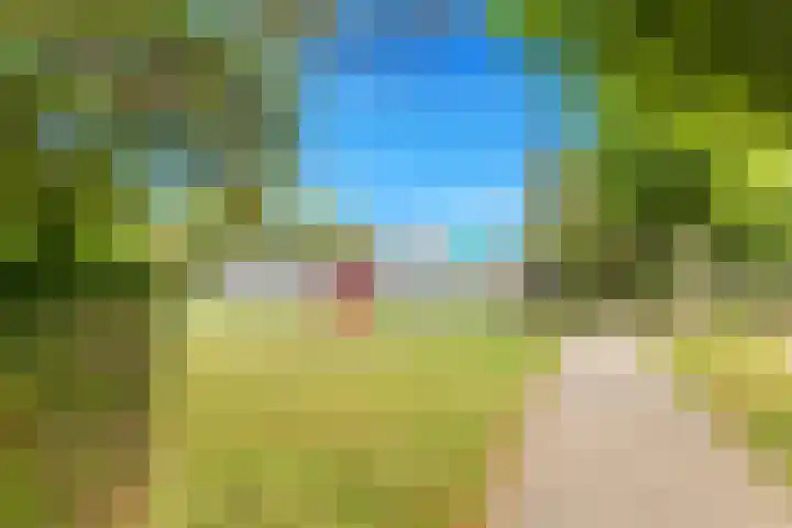 Braveld 18 Castricum thumbnail 44