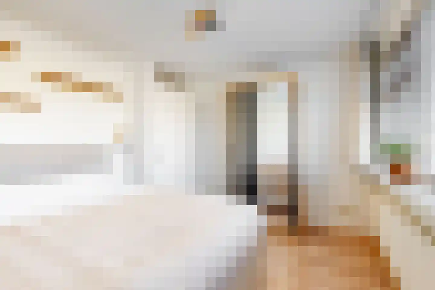 Braveld 6 Castricum thumbnail 27