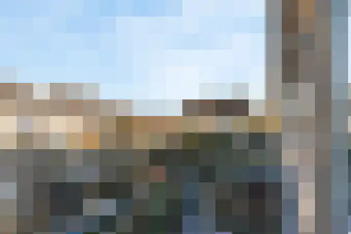 Braveld 6 Castricum thumbnail 30