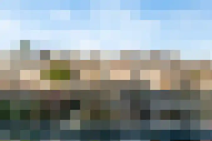 Braveld 6 Castricum thumbnail 31