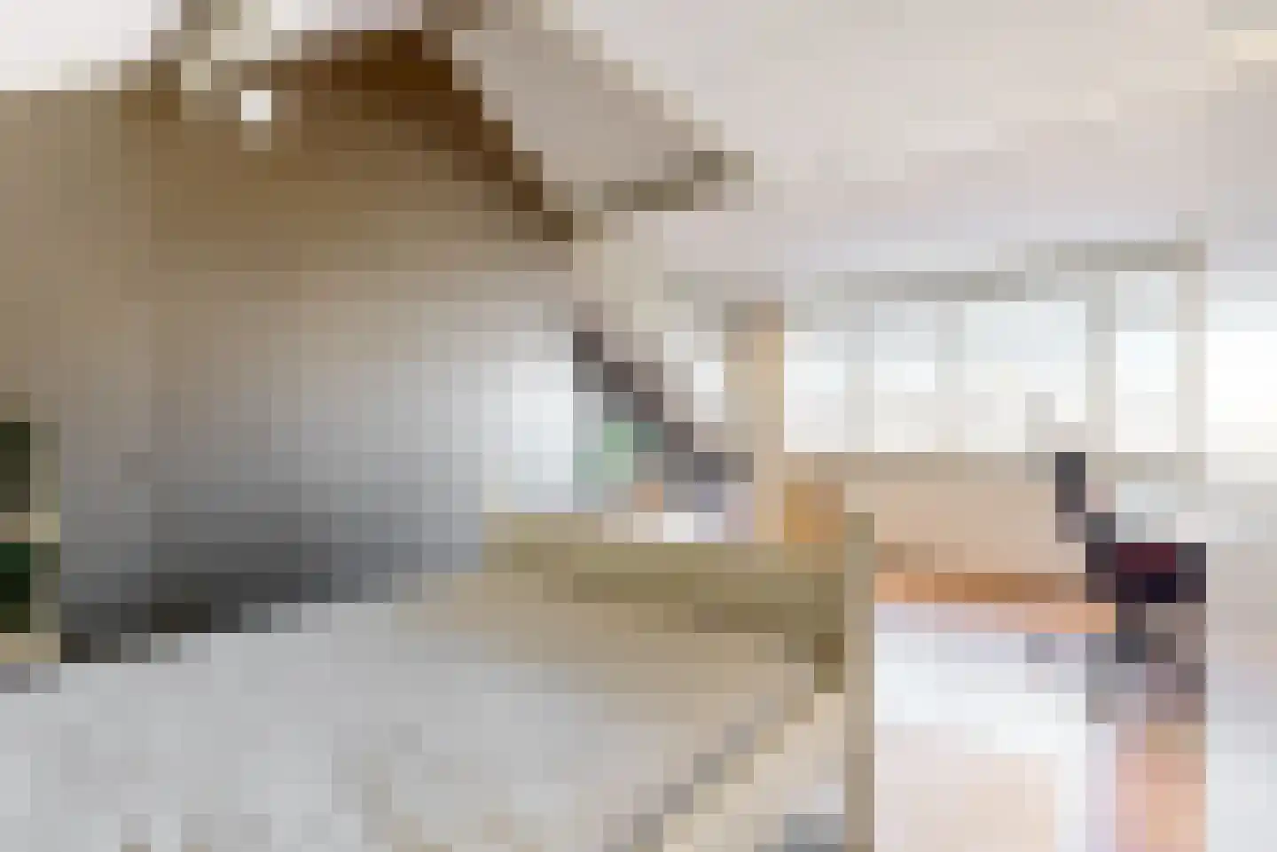 Braveld 6 Castricum thumbnail 37