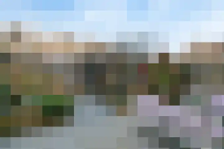 Braveld 6 Castricum thumbnail 38