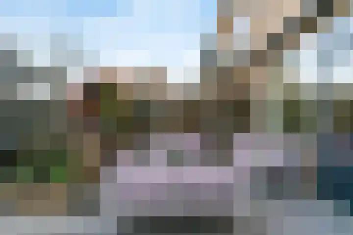 Braveld 6 Castricum thumbnail 39