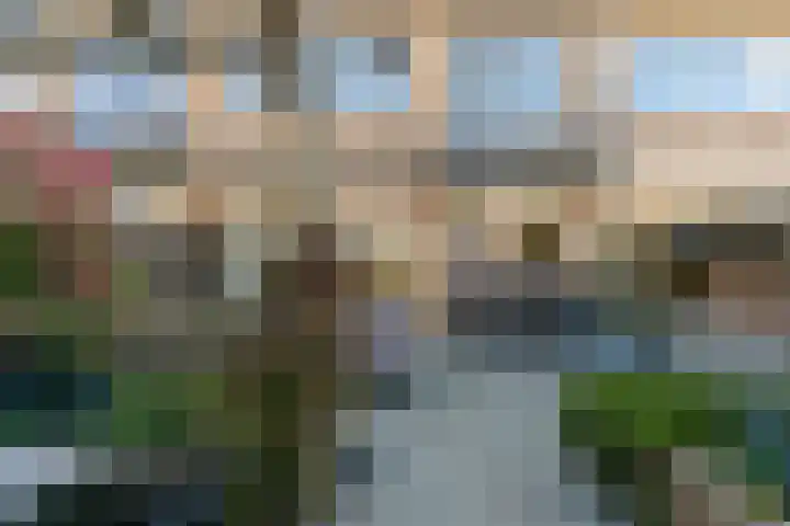 Braveld 6 Castricum thumbnail 41