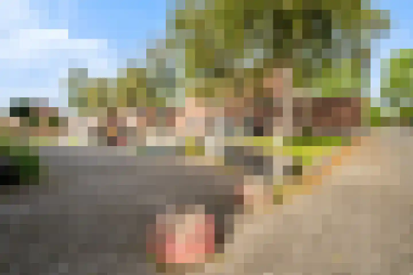 Braziliëhof 4 IJsselstein thumbnail 28