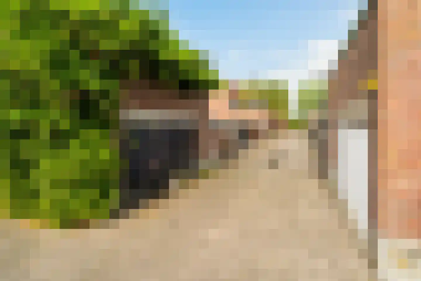 Braziliëhof 4 IJsselstein thumbnail 6